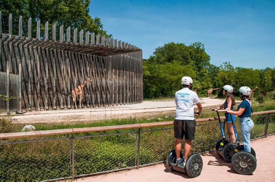 Lyon: City Segway Tour with a Local Guide - Parc de la Tête d’Or, where the tour slows down