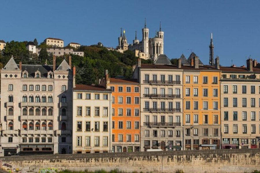Lyon: Private custom tour with a local guide - Museums, tickets, and how to ask for the right stop