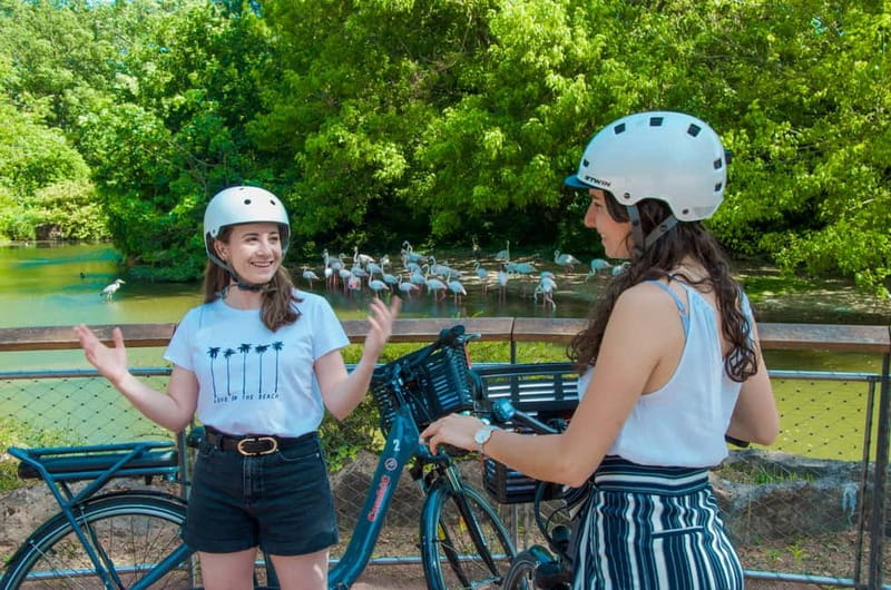 Lyon's must-sees by electric bike - Tête d’Or park: lake, tropical greenhouse, and zoo time