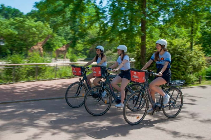 Lyon's must-sees by electric bike - Along the Quais de Saône: Fourvière and Croix-Rousse views