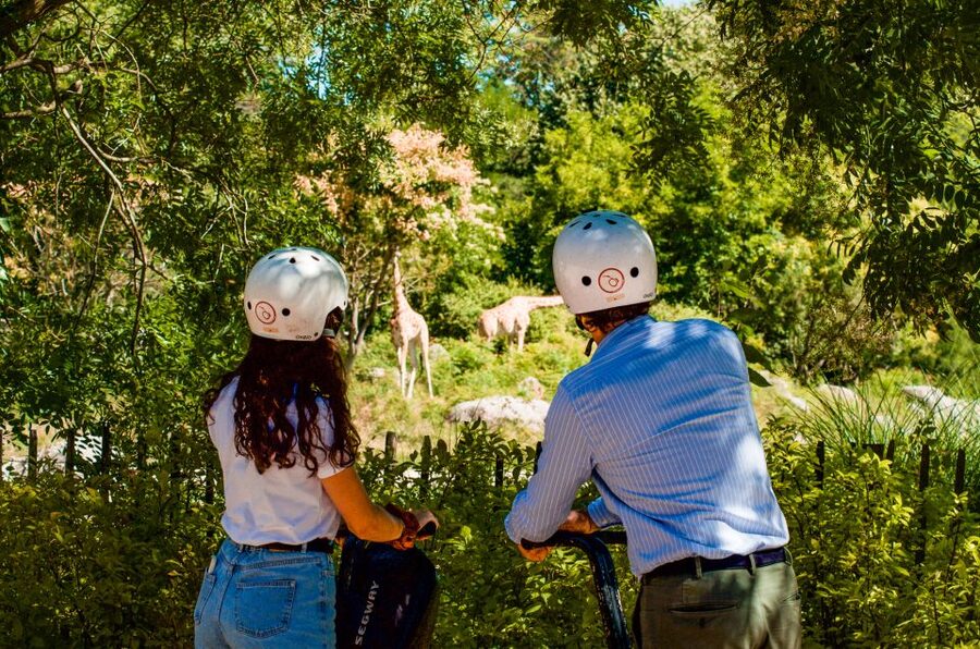 Lyon Segway Tour: Tête d'Or Park - A 2-hour Lyon Segway tour that actually fits a day