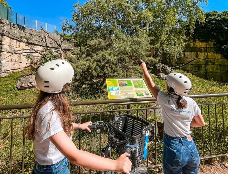 Lyon: Tête d'Or park on an electric bike Tour - Price and value: what $41 buys in 2 hours