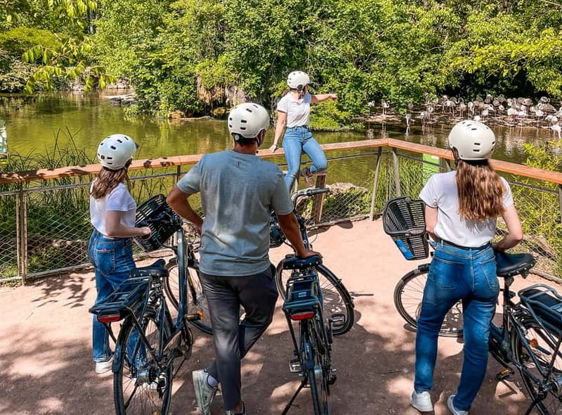 Lyon: Tête d'Or park on an electric bike Tour - Who this e-bike loop suits best