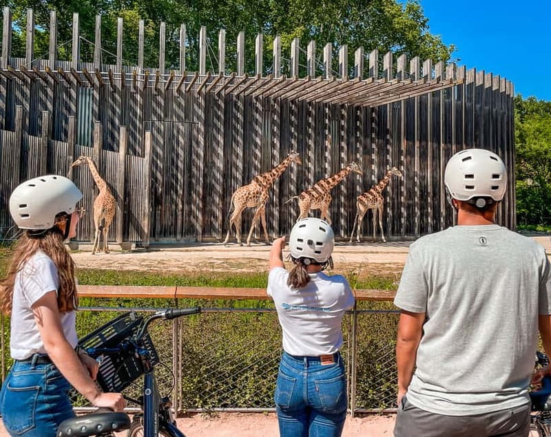 Lyon: Tête d'Or park on an electric bike Tour - The meeting point and the 15-minute bike briefing that matters