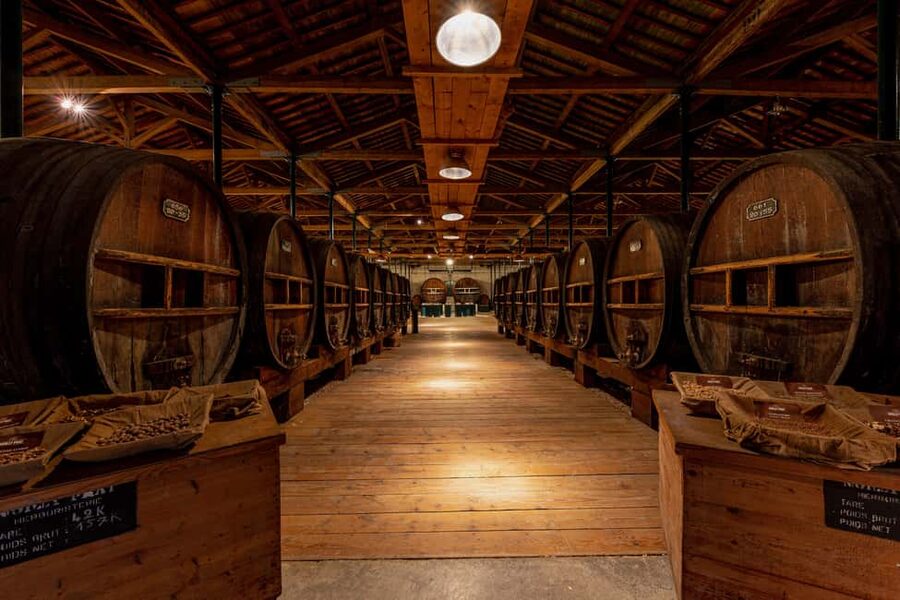 Marseillan: La Maison Noilly Prat Premium Tour - Timing and language: choose your slot like a local
