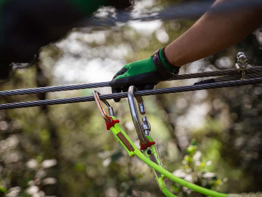 Marseille: Ecopark Adventures Treetop Adventure - 10 treetop courses, 150 workshops, and a Minipark for toddlers