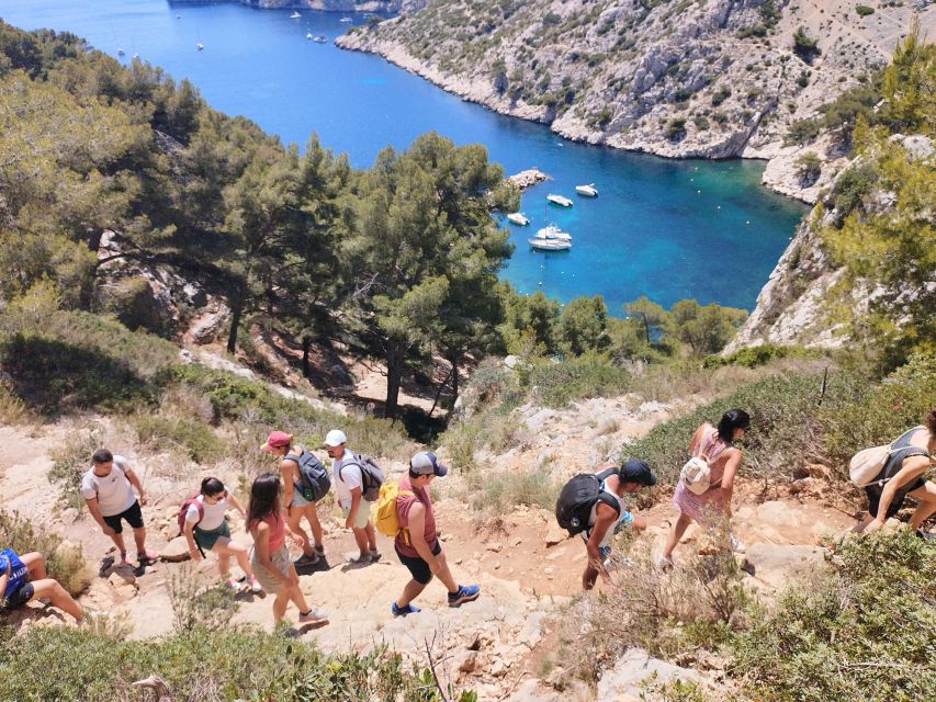 Marseille: Guided Hiking Calanques National Park from Luminy - Who this hike is for, and who should skip it