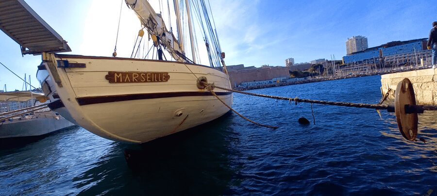 Marseille: Half-Day City Highlights Guided Walking Tour - Across the Port: Ferry Moment and Le Vieux Port Focus