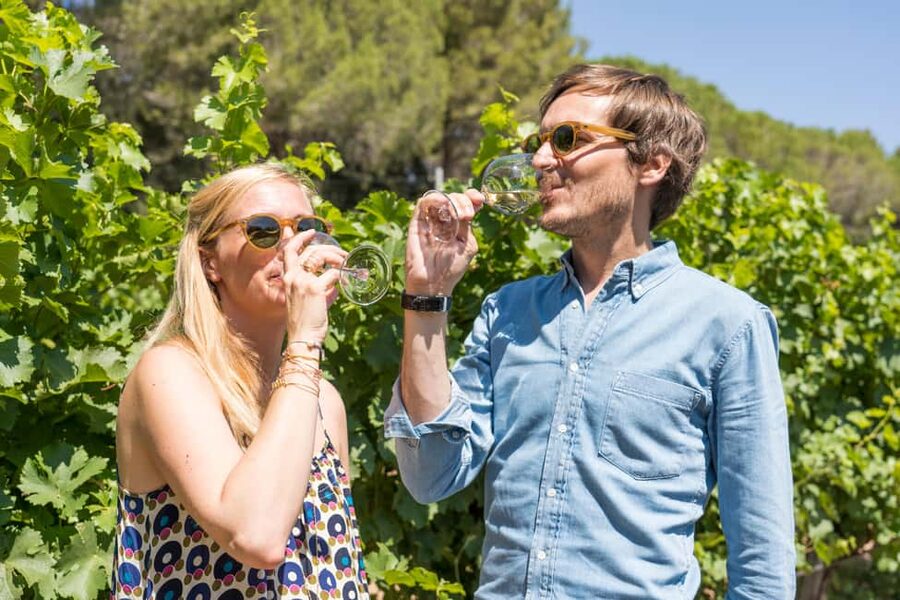 Marseille: Highlights & Wine Tasting Day Tour - Key points to know before you go