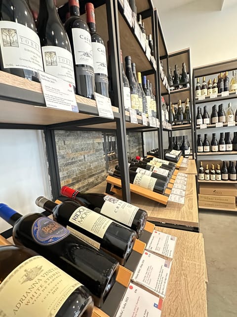 Marseille: Tailored Wine Tasting Experience in Top Wine Shop - Key highlights to look for