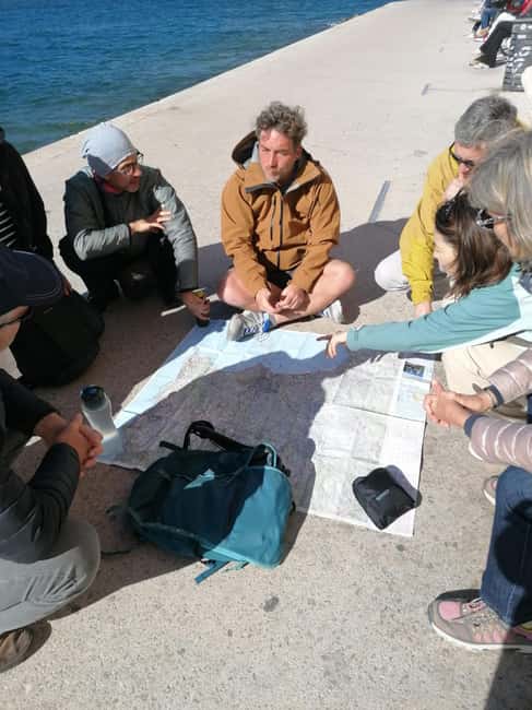 Marseille: Urban Hiking Tour with a Local Guide - Old Port Basics and Palais du Pharo Views