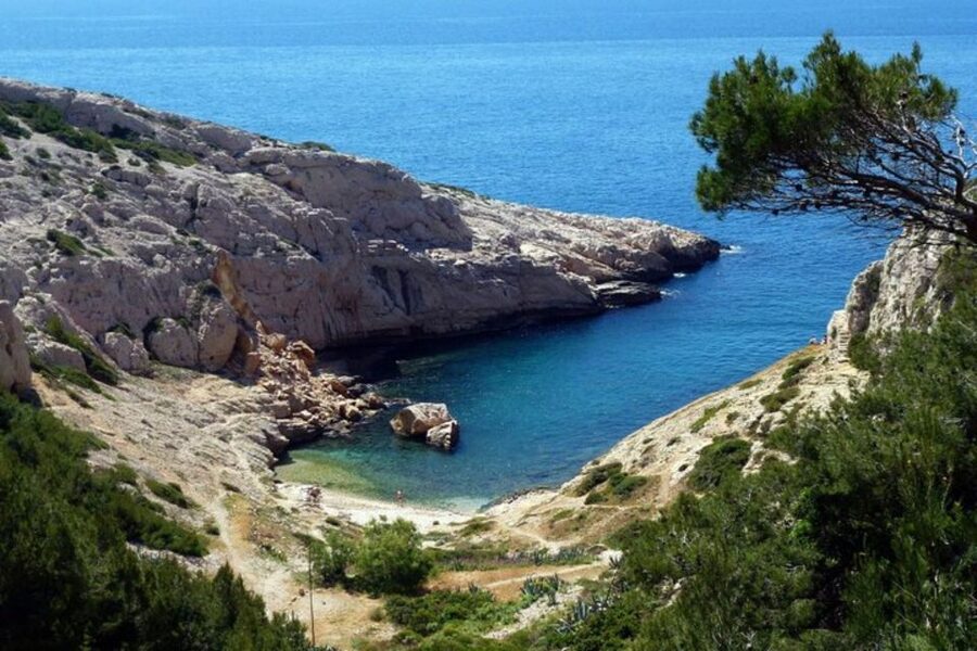Marseilles: Private Custom Tour with a Local Guide - Mobility, families, solo travelers, and couples