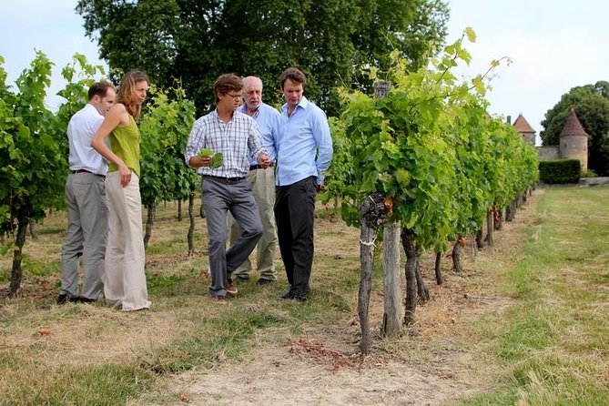 Medoc or Saint Emilion Wine Tasting and Chateau from Bordeaux - Medoc vs Saint-Emilion: picking the right Bordeaux wine afternoon