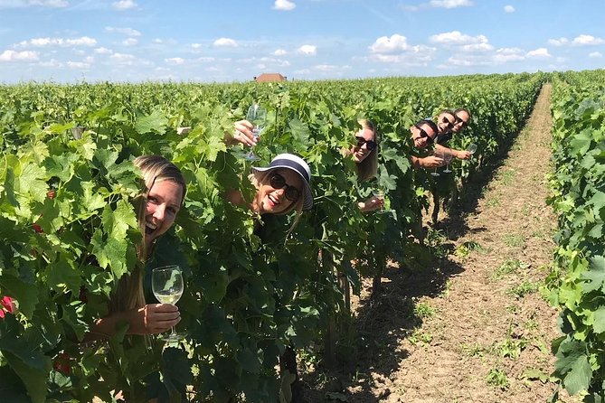 Medoc or Saint Emilion Wine Tasting and Chateau from Bordeaux - Getting to the countryside fast from Bordeaux (and why it matters)