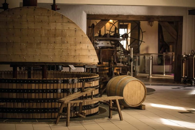 Meunier Champagne Experience tour - Passy-Grigny - Passy-Grigny and why Meunier is the point of this tour