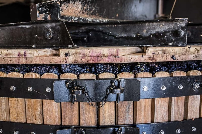 Meunier Champagne Experience tour - Passy-Grigny - 75 minutes of production reality: old and new presses in one visit