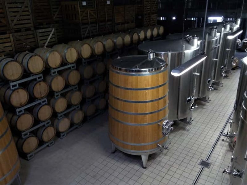 Meunier Champagne Experience tour - Passy-Grigny - Languages, group vibe, and how the guide helps you get more out of it