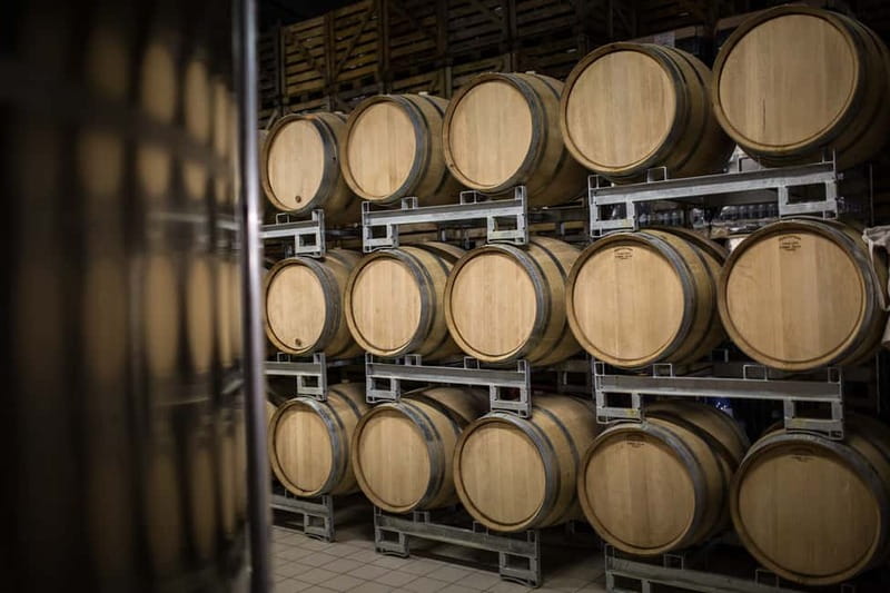 Meunier Champagne Experience tour - Passy-Grigny - Who this tour suits best, and who should skip it