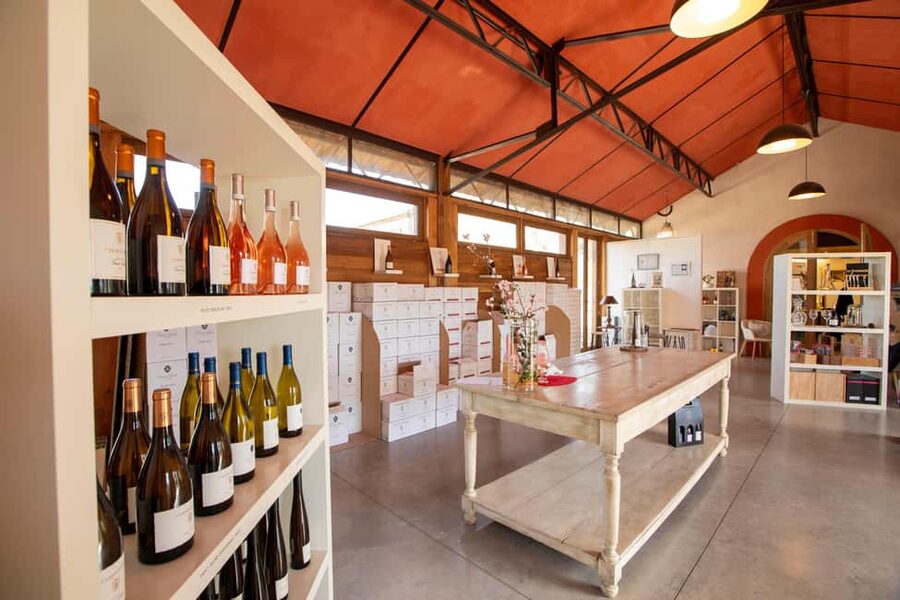 Mèze: Domaine Saint André Vineyard Guided Tour with Tasting - Sustainable viticulture, explained where it matters