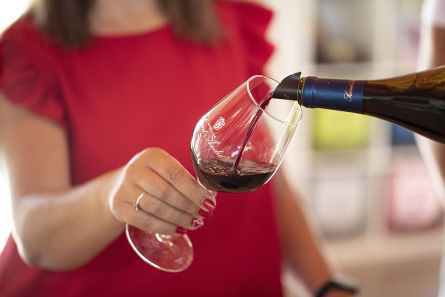 Mèze: Domaine Saint André Vineyard Guided Tour with Tasting - Grape varieties and terroir: how to look at the vineyard