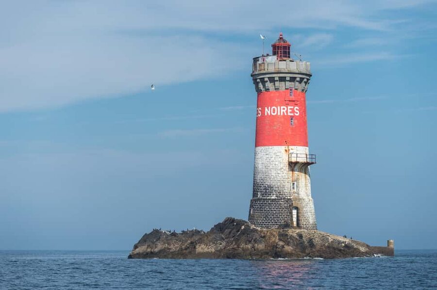 Molène Archipelago: Sea trips from Crozon. Seals, dolphins, - Who This Tour Suits Best (And Who Should Skip It)