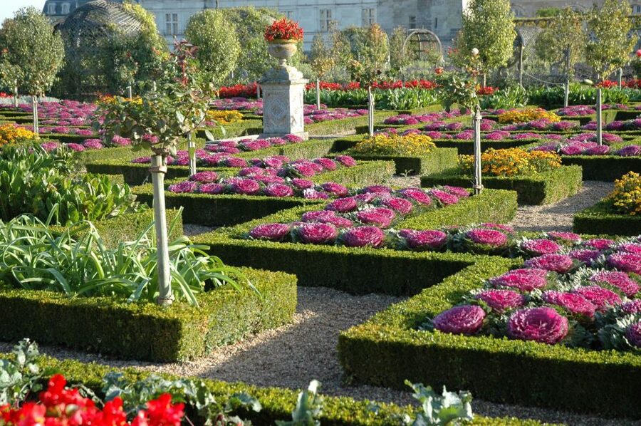 Mont Saint-Michel & Chateaux Country 3-Day Tour from Paris - Château de Cheverny and the Tintin connection you can actually use