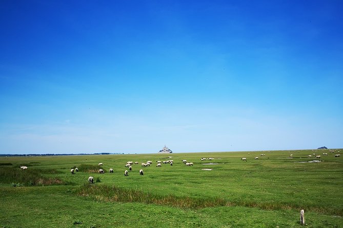 Mont Saint-Michel Day Trip from Bayeux (Shared tour) - Village Time and Museum Visits: Use It Like a Local