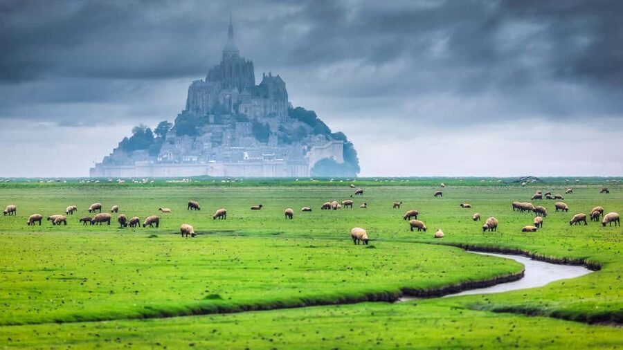 Mont Saint-Michel Small-Group Day Trip from Paris with Abbey Ticket - The 7:15 AM Paris start, and how to not feel wrecked by the drive
