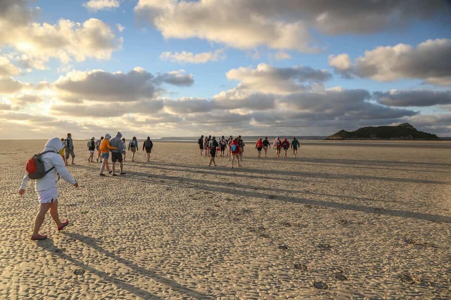 Mont-saint-Michel : Walk in the heart of the Bay - The 7 km loop toward Tombelaine: what you’ll do step by step