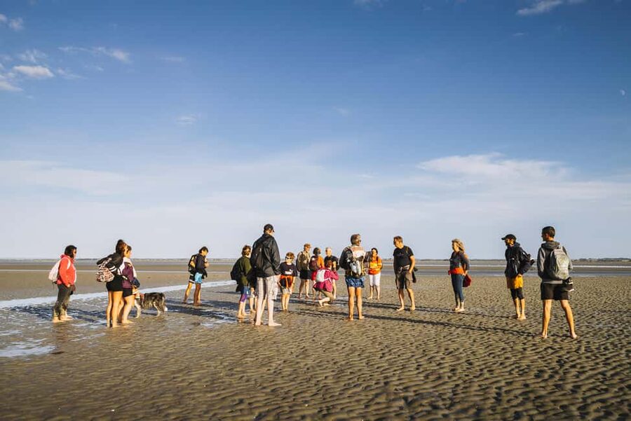 Mont-saint-Michel : Walk in the heart of the Bay - Barefoot sand, thigh-deep rivers, and quicksand lessons