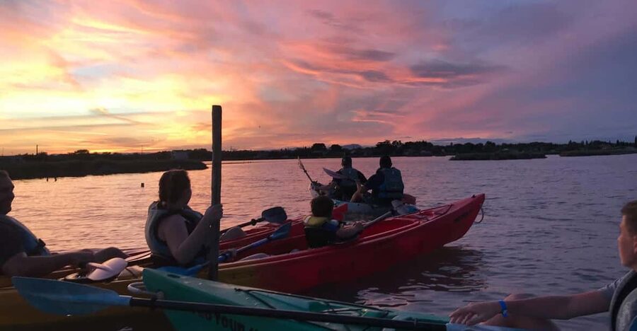Montpellier : Birdwatching by kayak in the Camargue - Key things that make this Camargue kayak birdwatching stand out