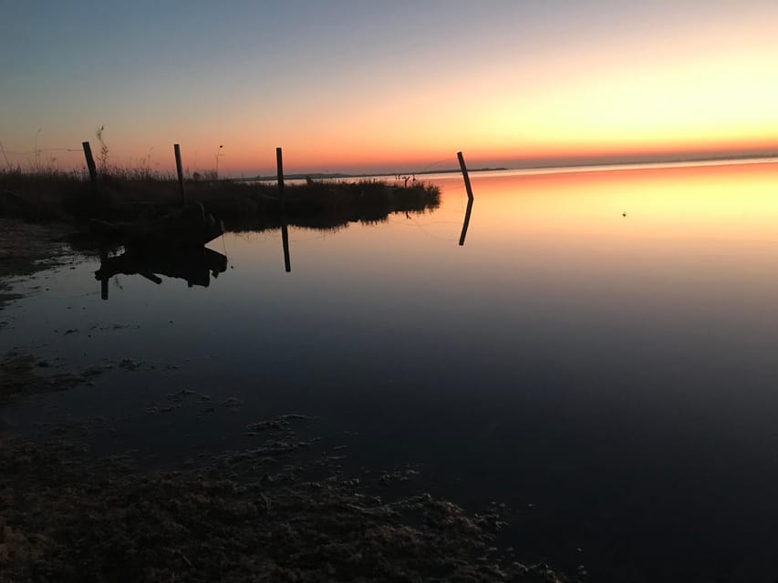 Montpellier : Birdwatching by kayak in the Camargue - FAQ