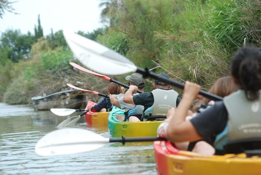 Montpellier : Birdwatching by kayak in the Camargue - Kayaking the Natura 2000 wetlands near Montpellier