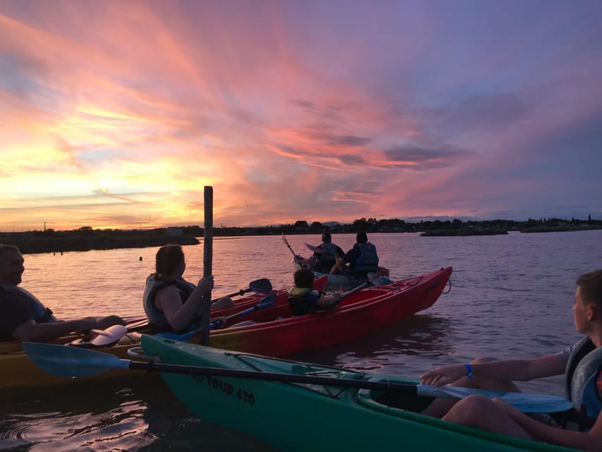 Montpellier : Birdwatching by kayak in the Camargue - The 2-hour paddle: pace, stops, and what you do on the water