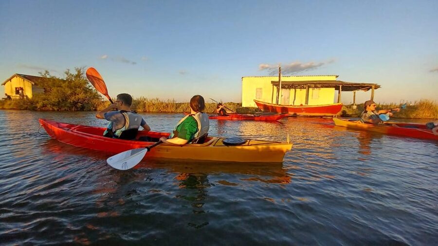 Montpellier : Birdwatching by kayak in the Camargue - Group size, comfort, and the reality of shallow water kayaking