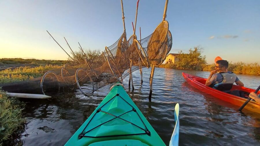 Montpellier : Birdwatching by kayak in the Camargue - Who this kayak birdwatching is best for (and who should skip it)