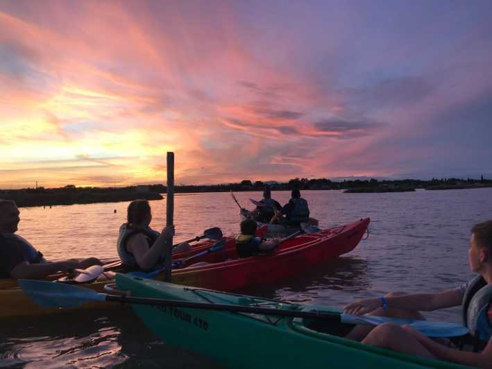 Montpellier : Birdwatching by kayak in the Camargue - Where you meet and what your pre-trip setup looks like