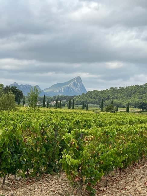 Montpellier: Pic Saint-Loup Wine Tour - Key Points You’ll Care About