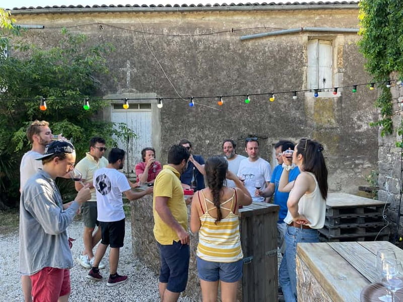 Montpellier: Pic Saint-Loup Wine Tour - Should You Book the Montpellier to Pic Saint-Loup Wine Tour?