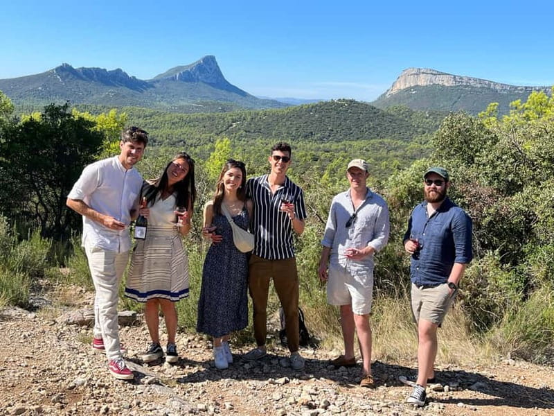 Montpellier: Pic Saint-Loup Wine Tour - Pic Saint-Loup’s Boutique Wineries: What You Taste and Why It Matters