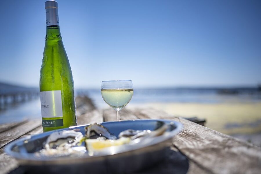 Montpellier Wine and Oyster Tour - How long the tour really takes, and the pace you should expect