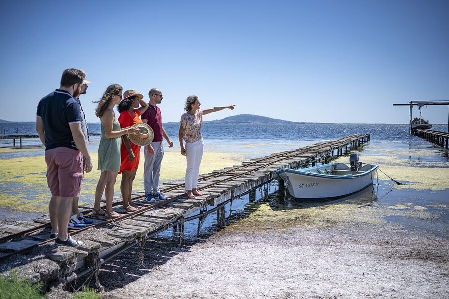 Montpellier Wine and Oyster Tour - Who this tour is best for, and who might want a different plan