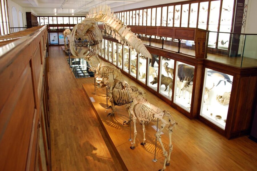 Nantes CityPass : 24/48/72 Hours/7 Days Full Access - Museum time that feels organized, not random