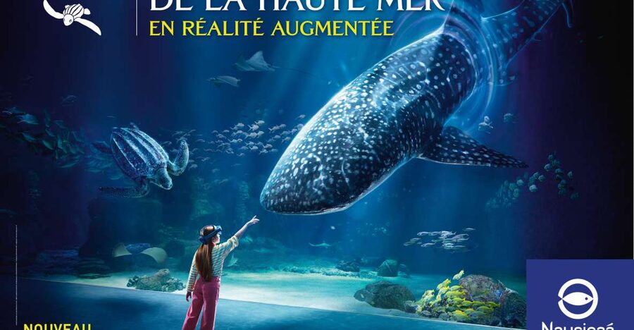 Nausicaá National Sea Center: Full-Day Entry Ticket - Key things to know before you go