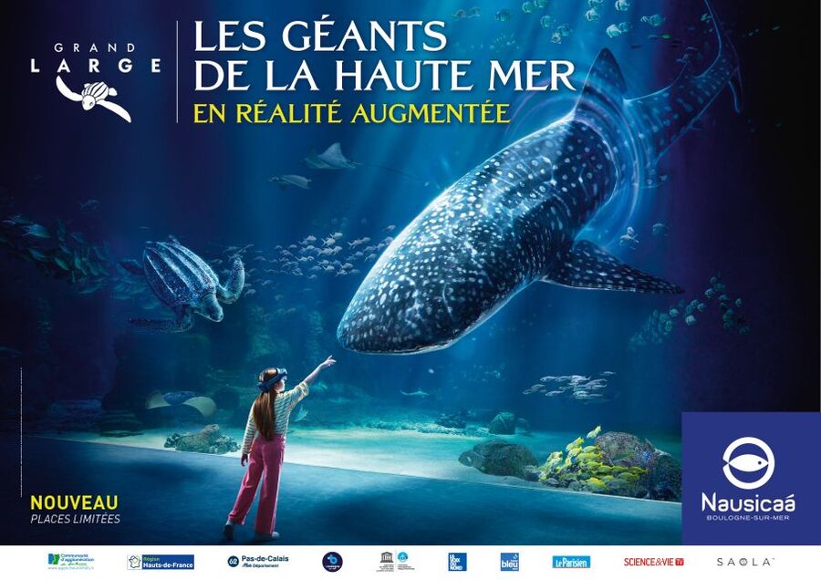Nausicaá National Sea Center: Full-Day Entry Ticket - The Three Main Exhibitions: High Seas, Shores, and Climate