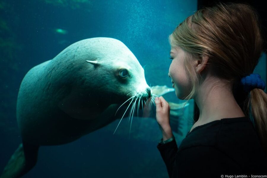Nausicaá National Sea Center: Full-Day Entry Ticket - Food, Breaks, and Staying Comfortable for 4.5 Hours