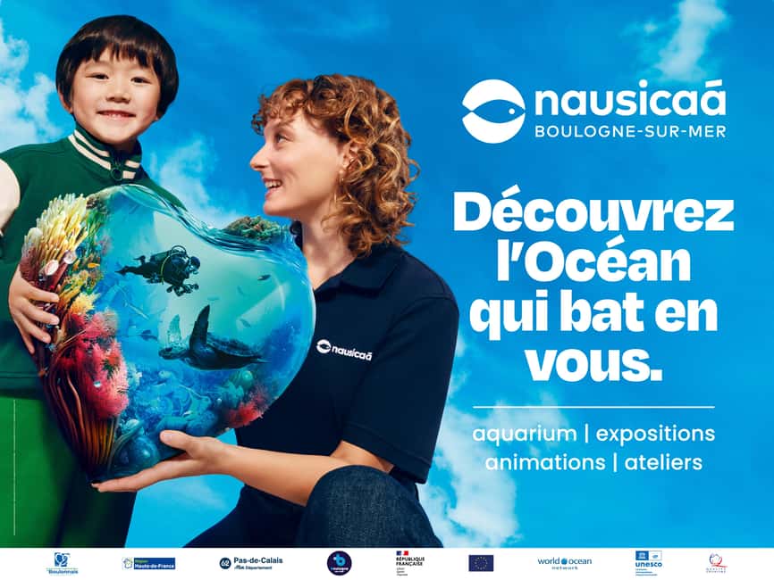 Nausicaá National Sea Center: Full-Day Entry Ticket - 70 Aquariums, 58,000 Animals: What You Actually See