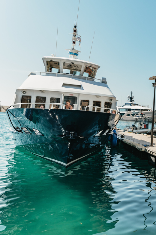 Nice: 1-Hour Sightseeing Cruise to Villefranche Bay - Saint-Jean-Cap-Ferrat Villas: The Riviera in Full “Coastline Watching” Mode