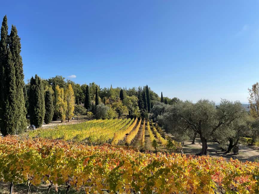 Nice: Full-Day Côtes de Provence Wine Tour - How the guide turns tastings into something you can use