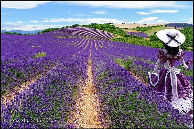 Nice: Gorges of Verdon and Fields of Lavender Tour - Provence in One Day: What This Nice to Verdon Trip Really Means